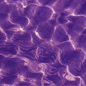 Meet your Posher, Marco